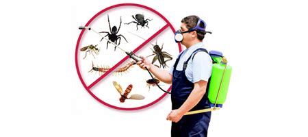 exterminator east brunswick nj|THE BEST 10 Pest Control in EAST BRUNSWICK, NJ